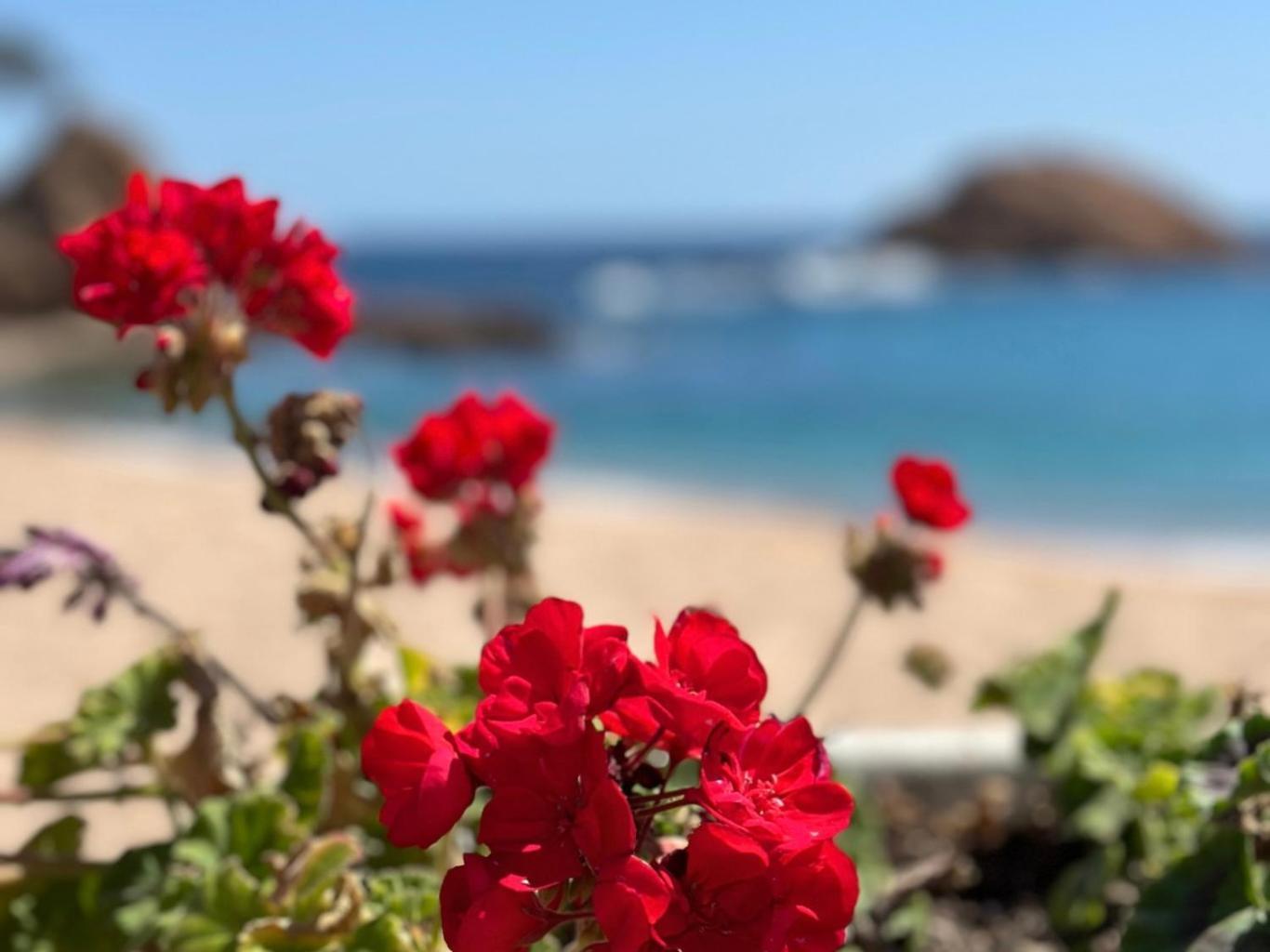 Atico Con Vistas Al Mar A Un Paso Del Centro Lejlighed Blanes Eksteriør billede