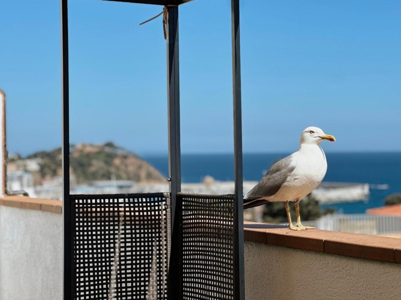 Atico Con Vistas Al Mar A Un Paso Del Centro Lejlighed Blanes Eksteriør billede